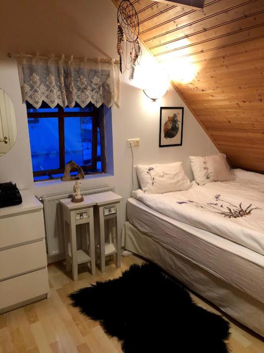 Appartement Nylenda à Seyðisfjörður Extérieur photo
