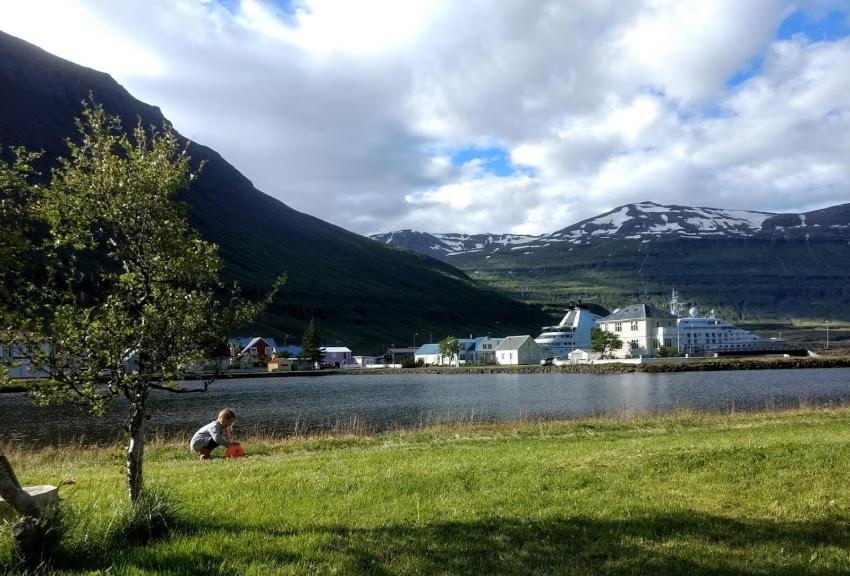 Appartement Nylenda à Seyðisfjörður Extérieur photo